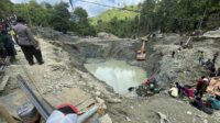 IMG-20251025-WA0007