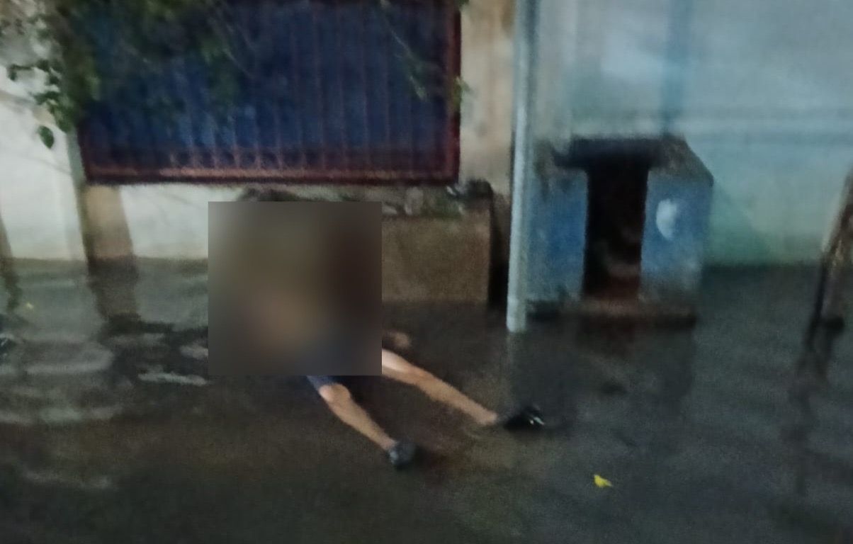 b81b39a6-0fed-4f09-982c-0f160a847406