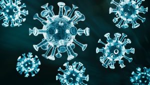 Hantavirus: Gejala, Cara Penularan, dan Risiko Fatal yang Perlu Diwaspadai