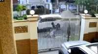Viral Video Percobaan Penculikan Lansia di PIK, Polisi Ungkap Motif di Baliknya