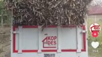 Viral! Truk Koperasi Desa Merah Putih Dipakai Angkut Tebu, Pengurus Diduga Tak Minta Izin