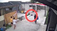 Viral Video Anak 9 Tahun Diserang Pitbull di Bandung hingga Luka Berat