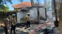 Viral! WN Nepal Bakar Kertas untuk Usir Laba-laba Berujung Vila Rp2 Miliar Ludes